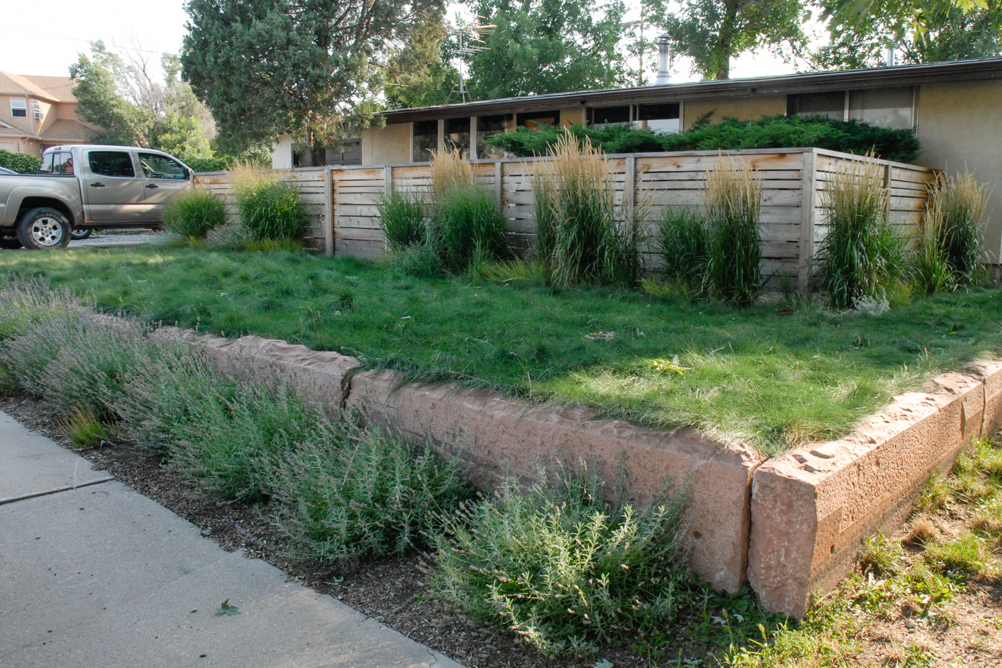 Contemporary Xeriscape